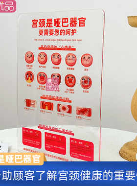 美容院宫颈护理宣传模型宫颈健康教育道具美容师专业讲解工具产康