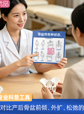项目专业科普工具骨盆调整盆底肌修复母乳喂养亚克力手持卡比基尼