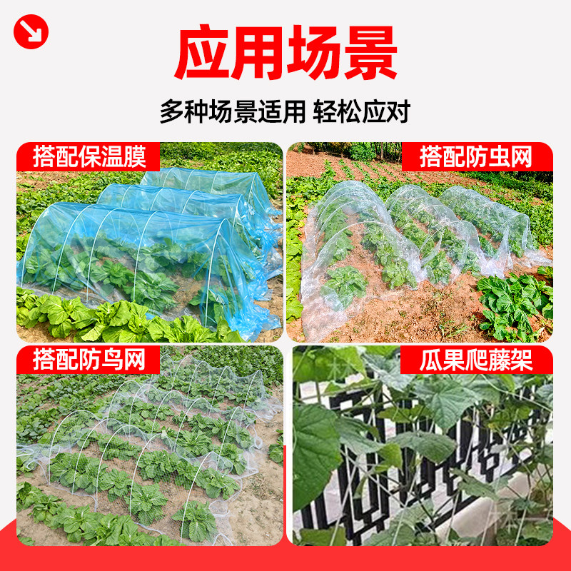 种菜防虫网支架菜地防虫网防护网农用蔬菜果园菜园专用加厚防虫网,淘宝优惠券,粉丝福利购,淘宝优惠卷