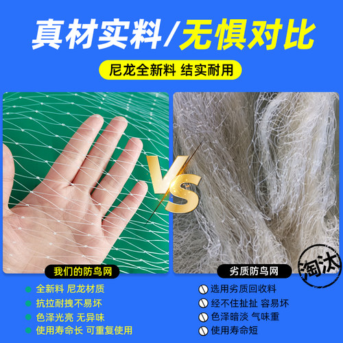 防鸟用尼龙网果园果树防鸟网养殖天网葡萄园樱桃蓝莓护栏防鸟网罩 - 图1
