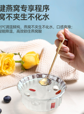 德国进口制冷锁鲜燕窝花胶电炖盅全自动预 天际（家电） DGD7-7LG