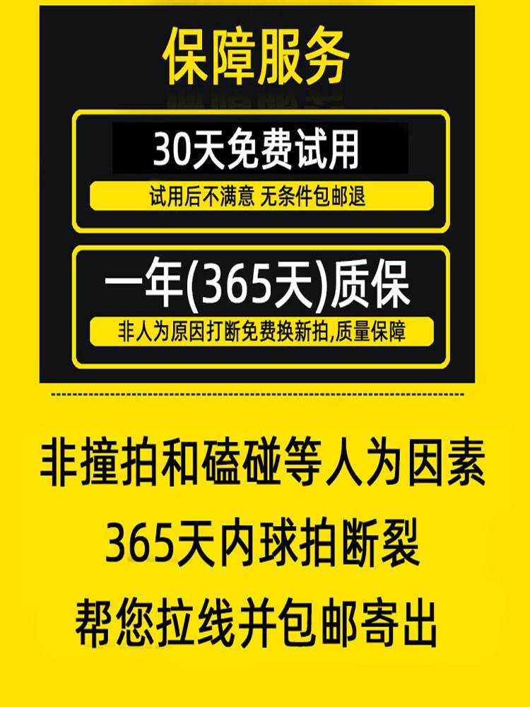 羽毛球拍单拍一支专业级成人比赛专用女生初学训练耐用型入门套装