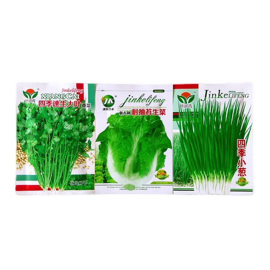 Original four-season sowing regular manufacturer vegetable seeds
