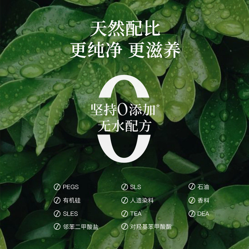 SUDTANA敏肌速修套组姜黄面部精华油提亮去黄补水保湿舒缓喷雾