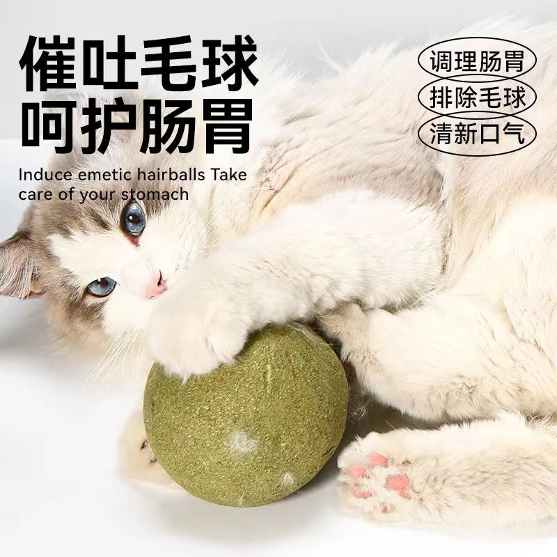 猫玩具猫薄荷球超大自嗨解闷猫猫小猫逗猫棒宠物猫咪用品磨牙10cm - 图1