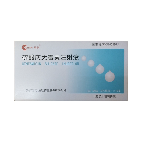 【辰欣】硫酸庆大霉素注射液2ml:80mg(8万单位)*10支/盒（广东）诊所1小时内联系您 - 图0