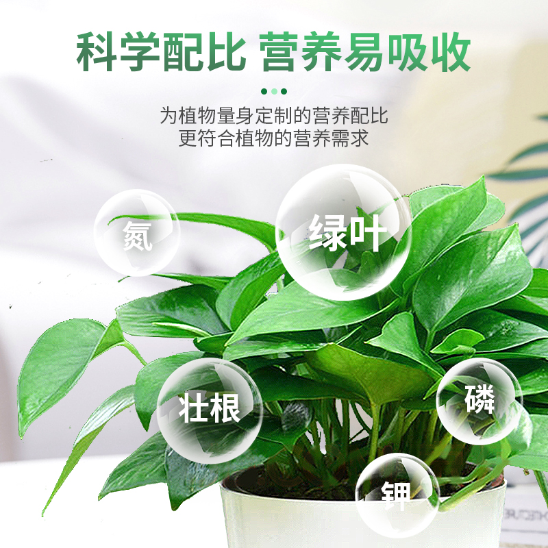 营养液植物通用型养花水培绿植发财树富贵竹绿萝专用土壤活化 - 图3