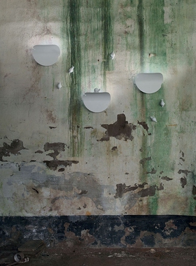 意大利Karman Va-lentina Wall light 叶子与蜗牛 壁灯