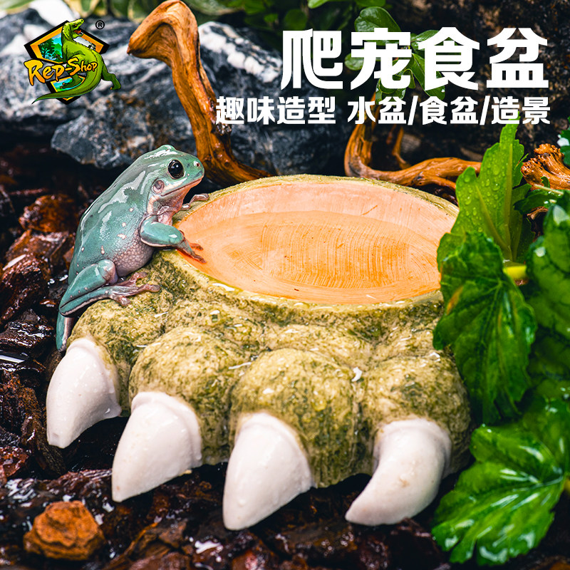 爬宠食盆守宫蜘蛛睫角寄居蟹角蛙水盆爬虫饲养箱创意造景泡澡盆,淘宝优惠券,粉丝福利购,淘宝优惠卷
