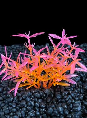1Pc Mini Decorative Simulated Aquatic Weed Aquarium Accessor