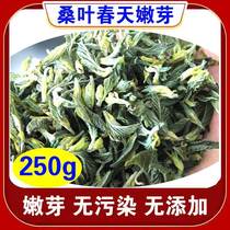 Mulberry Sprout Tea Dry Mulberry Sprout Wild Mulberry Leaf Tea Tender Bud Mulberry Leaf with Mulberry Leaf type mulberry leaf bud Non-frost mulberry leaf tea