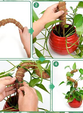 DIY自由造形植物爬藤柱造型植物攀爬可弯曲椰棕棒室内植物支撑