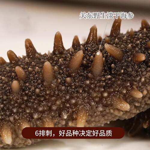 俄野刺生六排纯淡干关海参原干货东日本北海道PTL非罗斯红参大连 - 图1