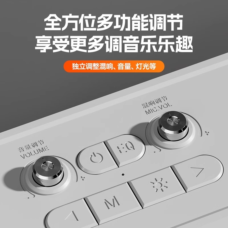 Audio outdoor karaoke speaker microphone integrated microphone