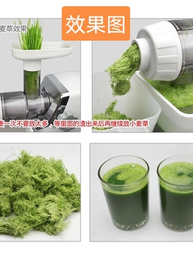 善美家用电动低速水果蔬菜榨汁机