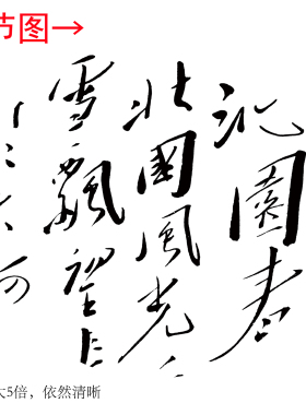 《沁园春 雪》书法客厅书房茶室装饰画挂画玄关水墨高清挂轴字画