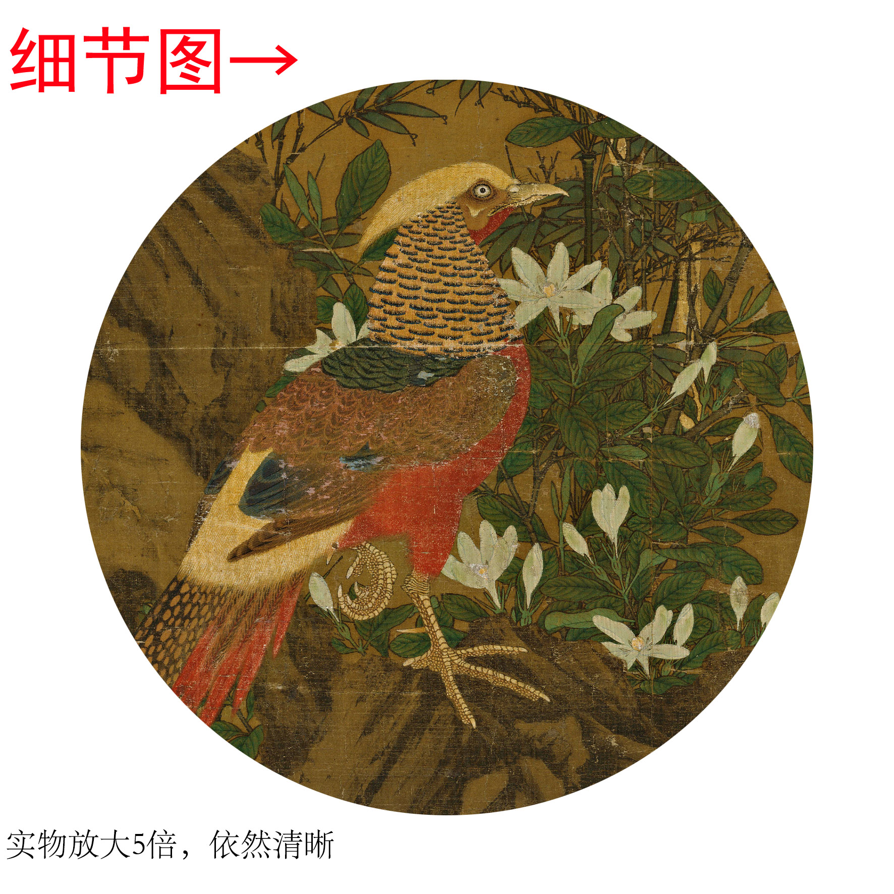 王渊《花竹锦鸡图》客厅书房茶室装饰画挂画玄关水墨高清卷轴字画 - 图2