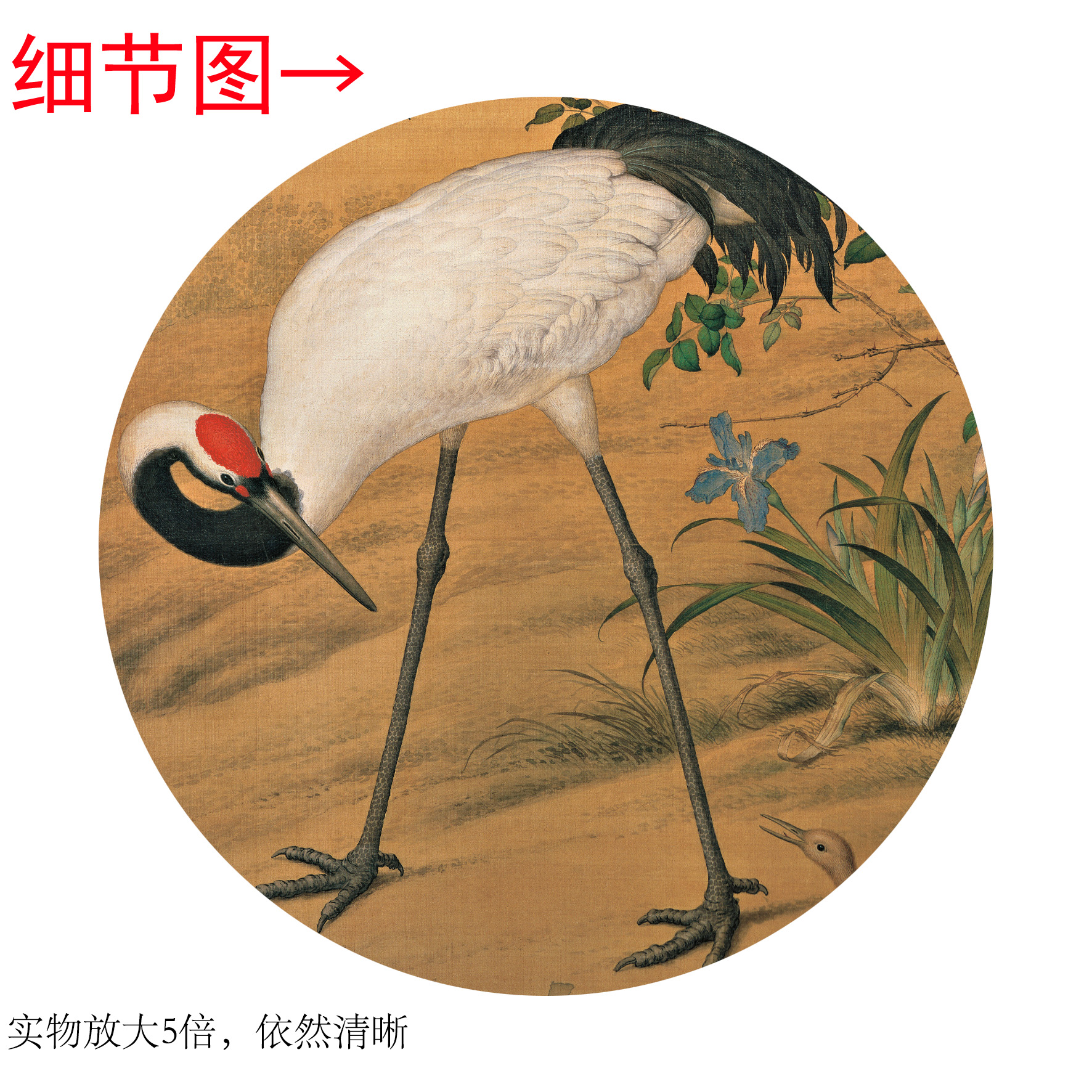 郎世宁《花阴双鹤图》客厅书房茶室装饰画挂画玄关高清卷轴字画 - 图2