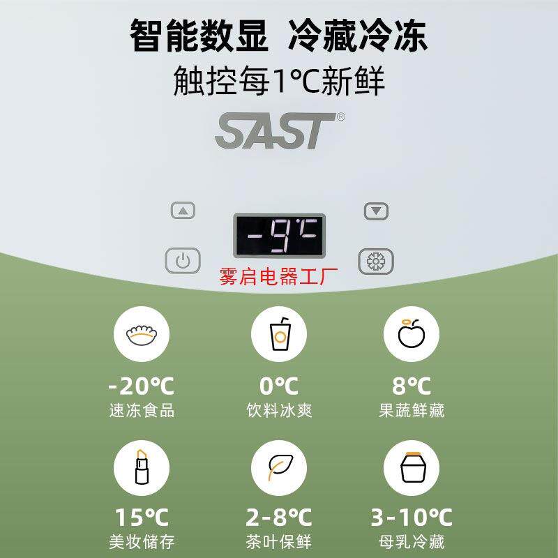 SAST车载迷你小冰箱min宿舍出租房小型母乳单人用冷藏箱车家两用 - 图3