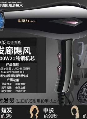 德国电吹风机负离子护发家用大功