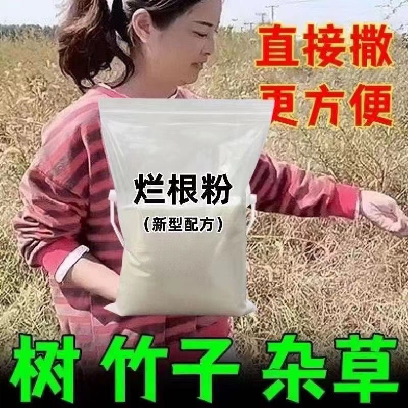 烂树根竹子药粉强力除草灭树粉腐蚀枯萎不返青烂根剂灭根粉颗粒剂 - 图0