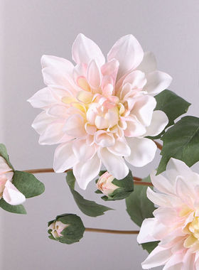 仿真花波斯菊格桑花小皱菊绢花田园风家居装饰酒店婚庆布景假花束
