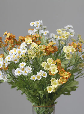 绢布30头洋甘菊绢花仿真花假花婚庆摄影写真家居摆设花艺手捧花