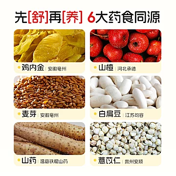 诺特兰德山楂鸡内金锌多维直饮包[50元优惠券]-寻折猪