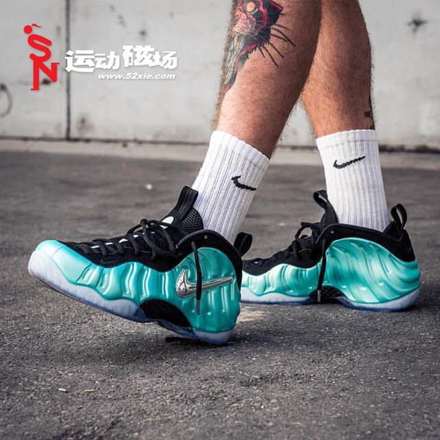 abalone foams