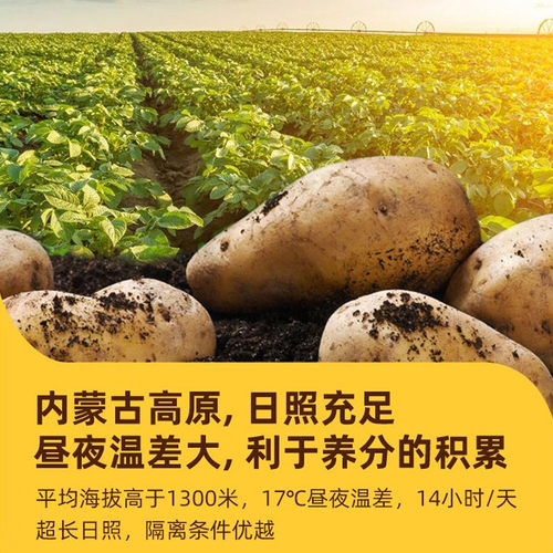 雪川薯条赤霄裹粉细薯冷冻半成品土豆条500g粗薯薯角空气炸锅食材 - 图2