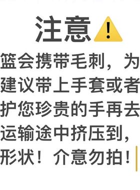 鱼饭竹篮竹制品竹篮馒头框馍馍框竹簸箕鸡蛋篮洗菜沥水篮水果篮围