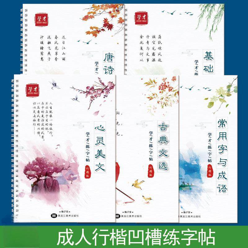 行楷凹槽字帖成人实用钢笔临摹练字本男生女生28天速成漂亮字体,淘宝优惠券,粉丝福利购,淘宝优惠卷