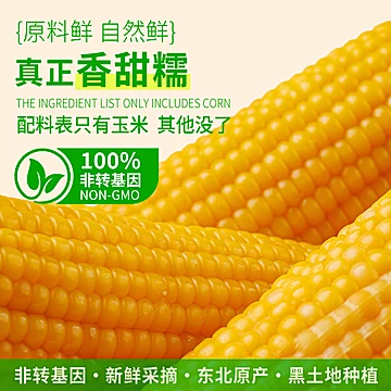 大棒更划算！刘老杆东北黄糯玉米220g×8根[11元优惠券]-寻折猪