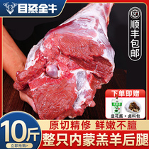 Goat Meat Fresh Goat Rear Leg Meat Whole Now Kill Lamb 5 Catty Lamb Roast Goat Leg Barbecue Frozen Food Products Commercial