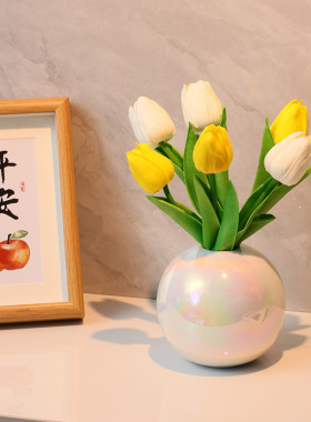简约陶瓷小花瓶插花干花客厅电视柜餐桌家居装饰品现代摆件白瓷