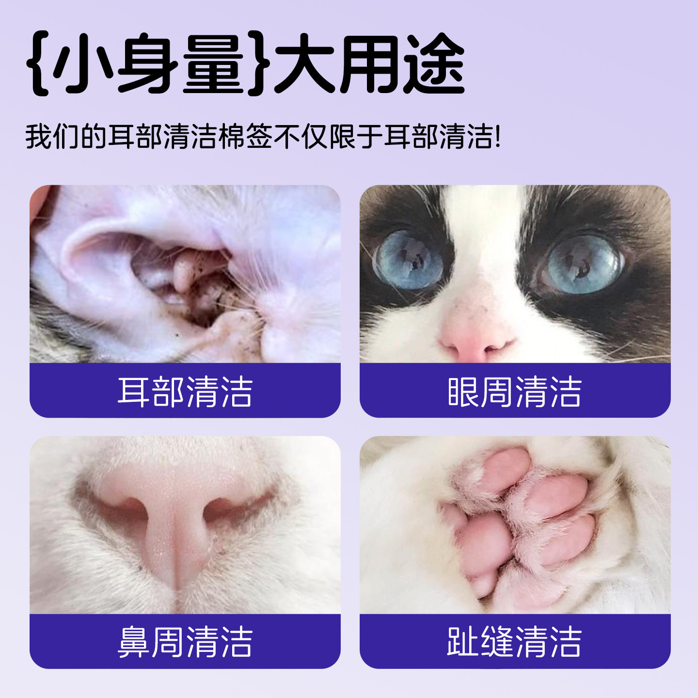 宠物耳部清洁棉签棒狗狗小猫用滴耳液耳螨耳垢泪痕掏耳朵抑菌止痒,淘宝优惠券,粉丝福利购,淘宝优惠卷