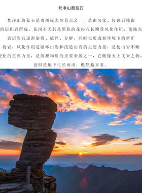 贵州梵净山‌蘑菇石冰箱贴金属红云金顶旅游文创纪念品送礼