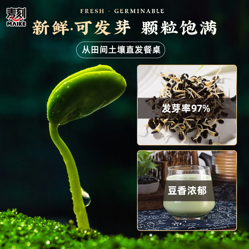 东北黑豆绿芯打豆浆专用农家五谷杂粮新货绿心小黑豆粗粮非即食-图1