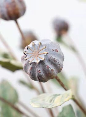 仿真罂粟果仿真植物仿真花美式田园家居装饰假花浆果