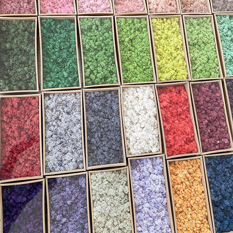 永生苔藓植物墙造景装饰手工制作干花配材花材真苔藓工厂直发,淘宝优惠券,粉丝福利购,淘宝优惠卷