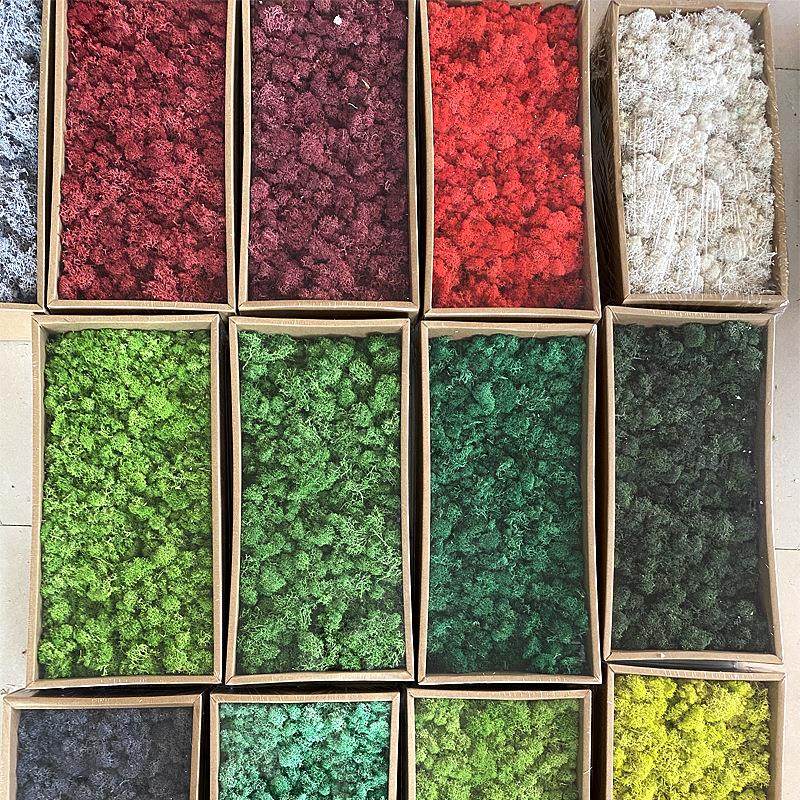 永生苔藓植物墙造景装饰手工制作干花配材花材真苔藓工厂直发,淘宝优惠券,粉丝福利购,淘宝优惠卷