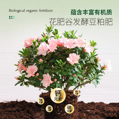 花肥谷发酵豆粕有机肥料植物盆栽花卉专用天然豆肥微生物菌肥颗粒 - 图1