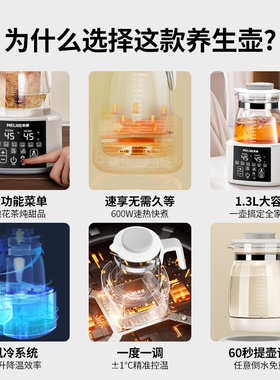 美菱养生壶炖煮一体煮茶
