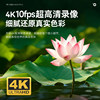 1300W high definition dual camera mirrorless student camera ccd