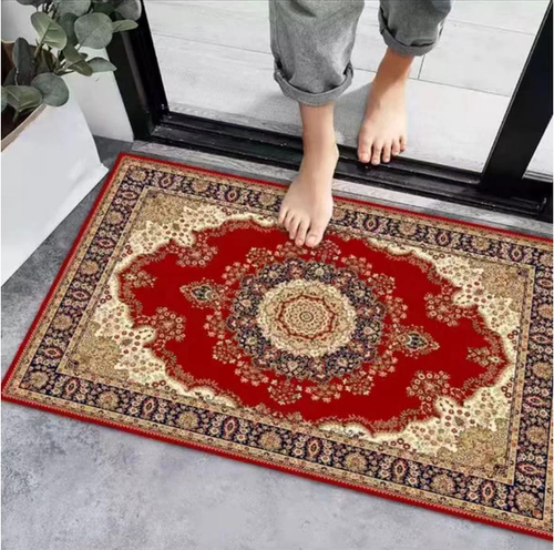 入户地垫硅藻泥红色进户脚垫浴室卫生间吸水防滑门垫出入平安地垫 - 图1