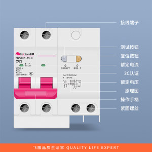 飞雕漏电保护器2P3P触电短路保护63A断路器三相电闸家用 空开漏保