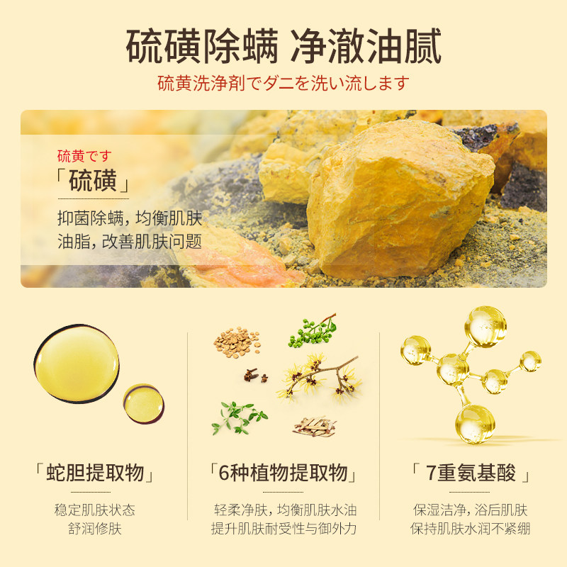  LEGENDANGEL安瓶/原液