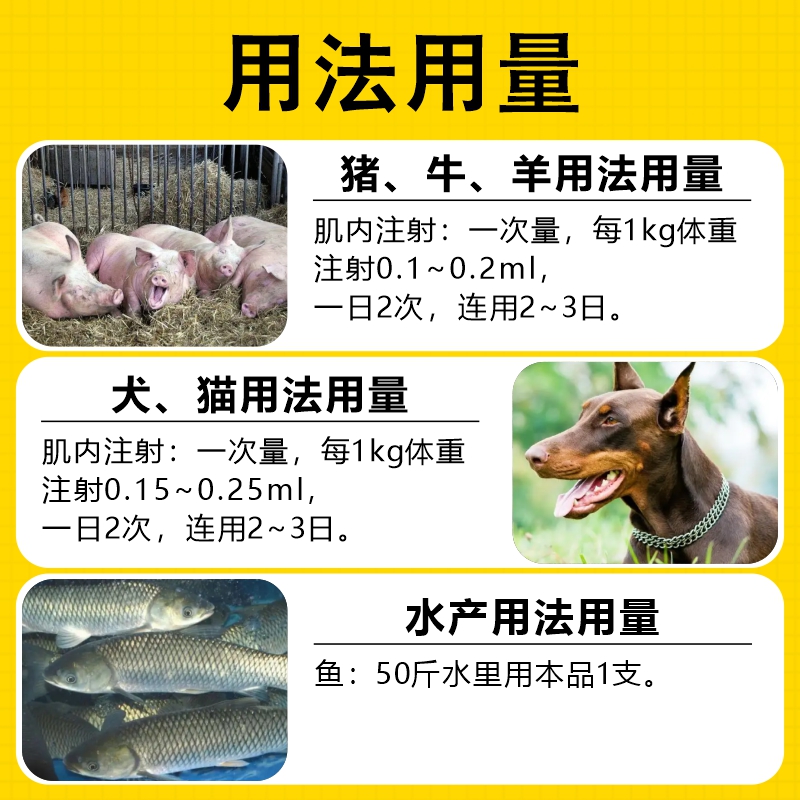 庆大霉素注射用液鱼用兽用宠物狗狗猫咪拉稀肠炎猪牛羊犬猫兔硫酸-图2