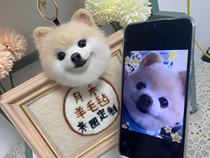 Pooch Hand Wool Felt Emulation Pet Custom Pendant Poke Fun Gift to Customize