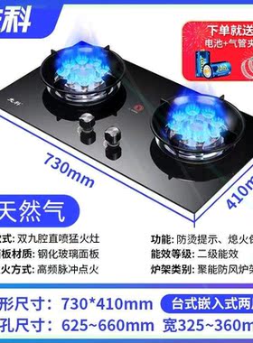 燃气灶家用台嵌式九腔猛火定时节能煤气双灶天然气土灶液化气